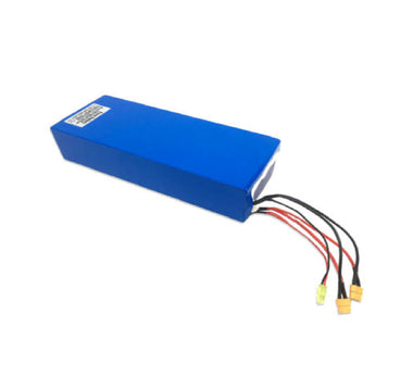 Originalbatterie ECO Speed ​​​​10 und 10X